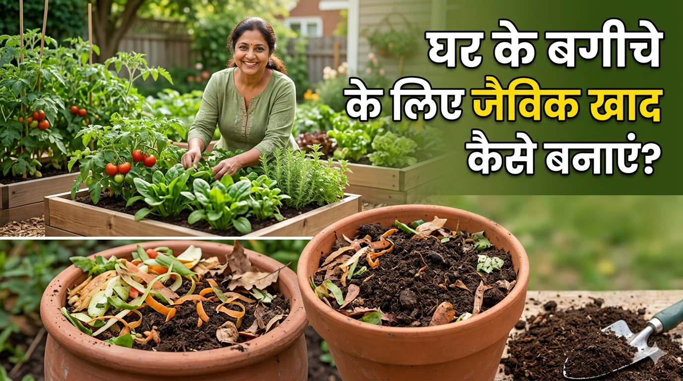 घर के बगीचे (Kitchen Garden) के लिए जैविक खाद कैसे बनाएं