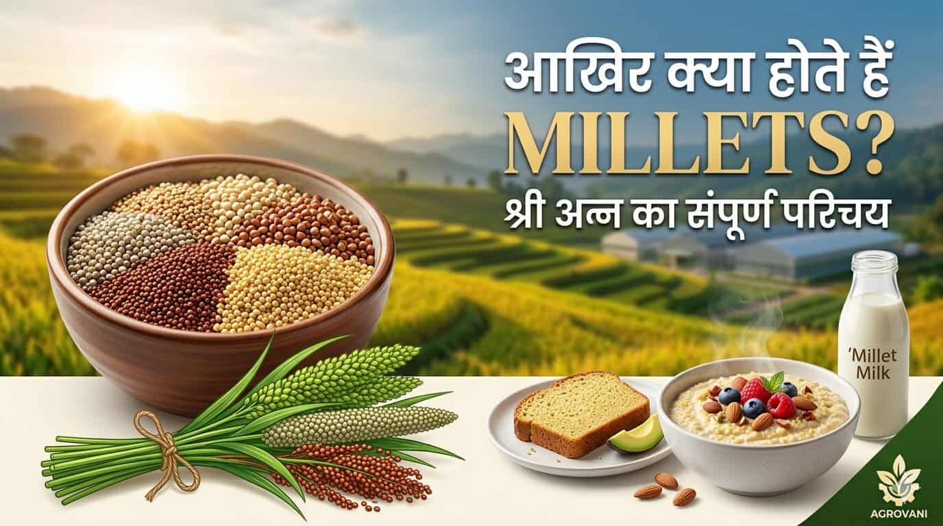 Millets kya hote hain