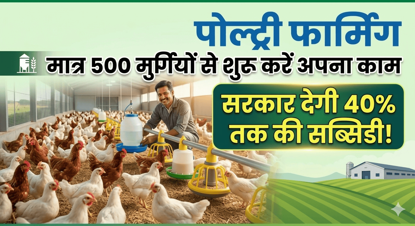 Poultry Farming