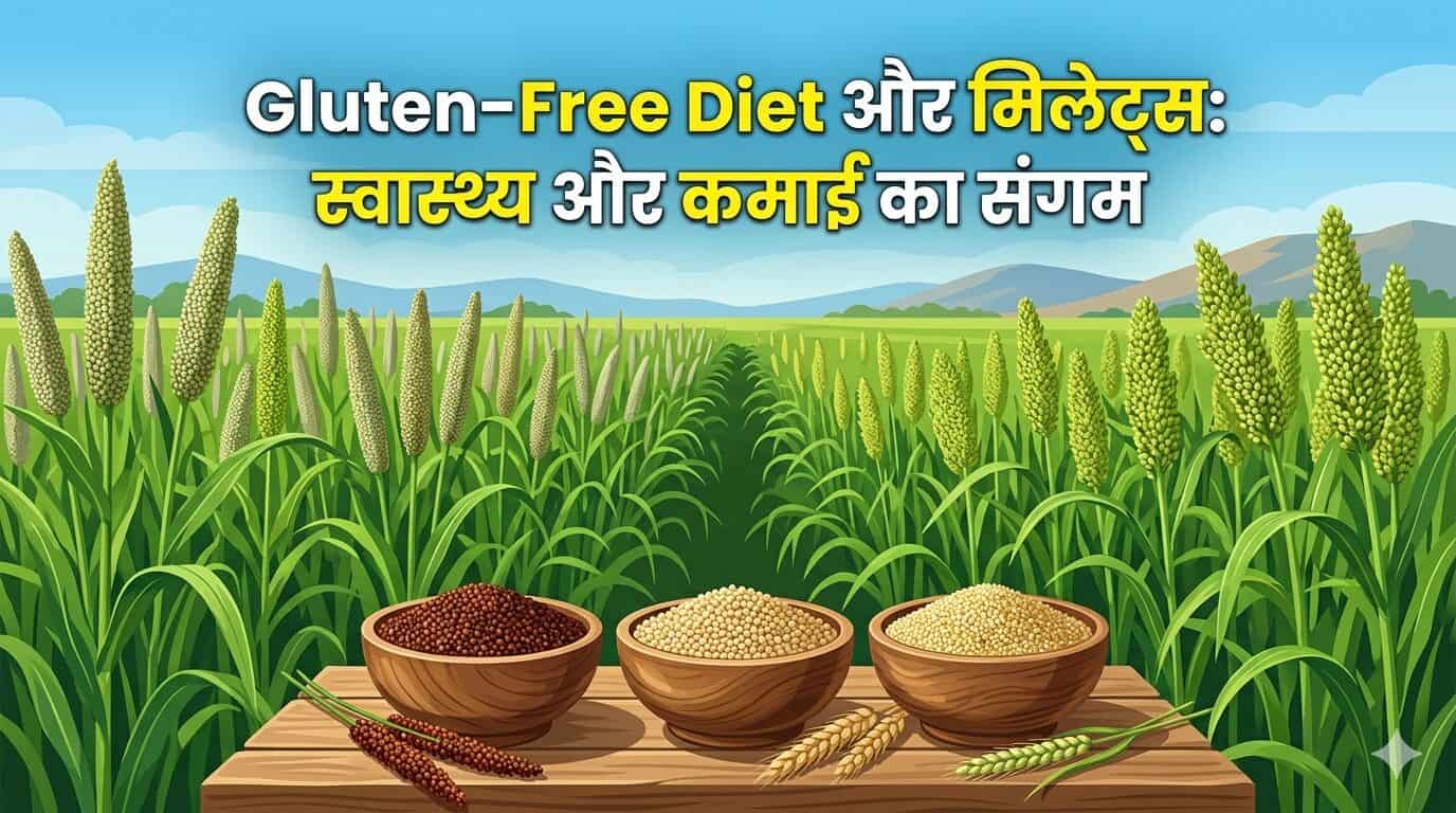 Gluten-Free Diet and Millets farming benefits