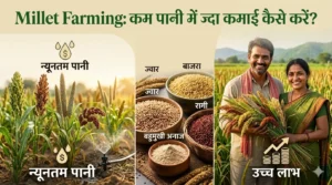 Millet-Farming-and-profitability.