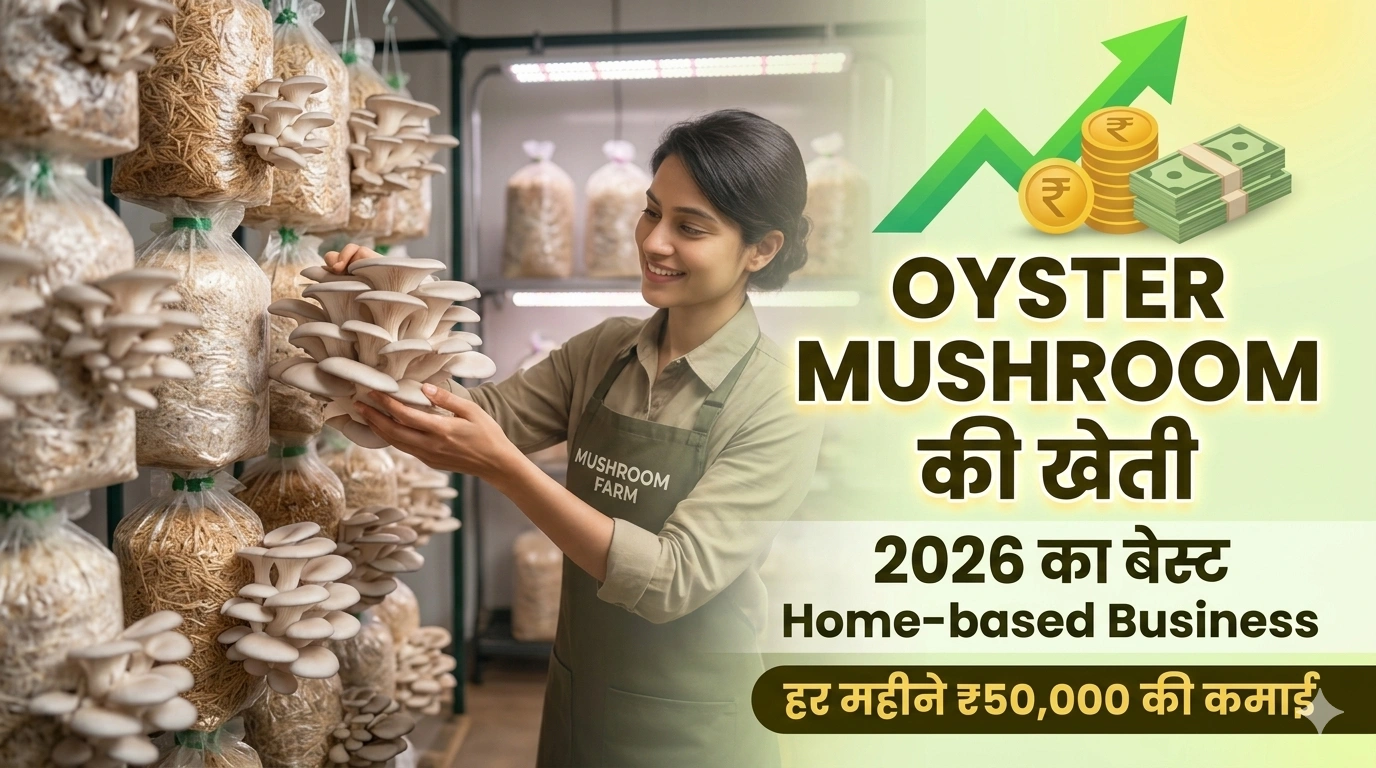 Oyester Mushroom Business