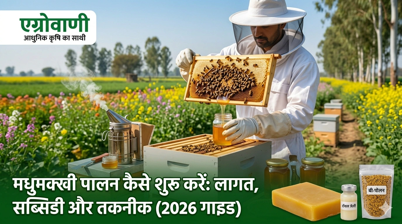 मधुमक्खी पालन कैसे शुरू करें